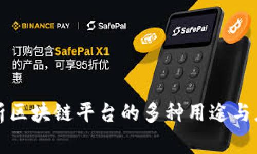 深入解析区块链平台的多种用途与应用前景
