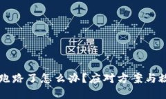 区块链平台跑路了怎么办？应对方案与救赎之路
