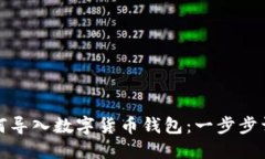 TP钱包如何导入数字货币钱包：一步步详解与技巧