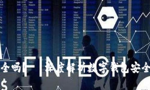 TP钱包授权安全吗？— 深度解析数字钱包安全性及最佳实践