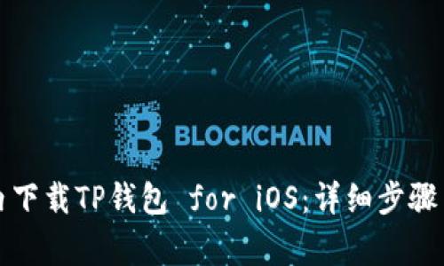 如何在国内下载TP钱包 for iOS：详细步骤与注意事项