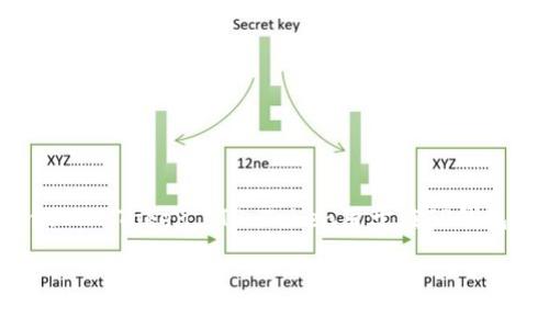 TP钱包（TP Wallet）是一个去中心化的数字资产钱包，支持多种加密货币的存储和管理。TP钱包的代币叫做“TP Token”。TP Token用于在TP钱包生态系统中进行各种交易和活动，用户可以通过持有和使用TP Token享受平台提供的一系列特权和服务。

如果你需要关于TP钱包或TP Token的更具体信息，欢迎提出！