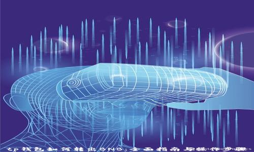 
tp钱包如何转出BNB：全面指南与操作步骤