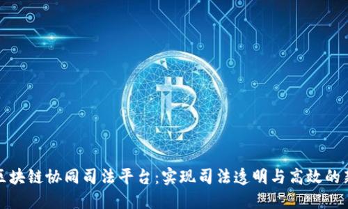 探索区块链协同司法平台：实现司法透明与高效的新途径