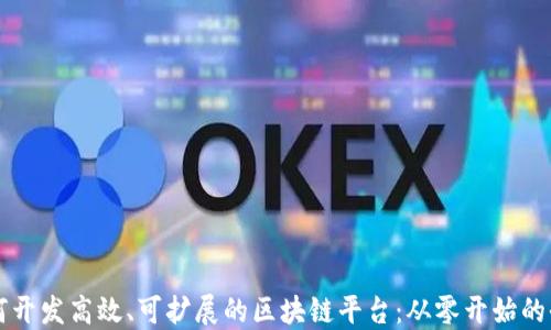 
程序员如何开发高效、可扩展的区块链平台：从零开始的全方位指南