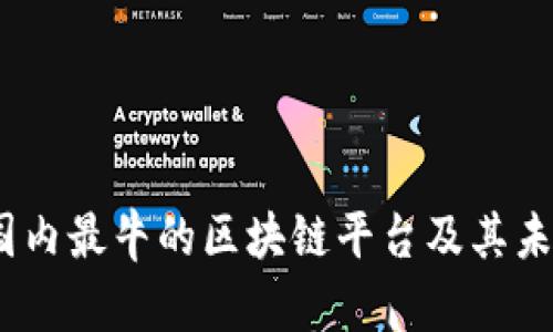 深入探索：国内最牛的区块链平台及其未来发展趋势