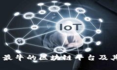 深入探索：国内最牛的区块链平台及其