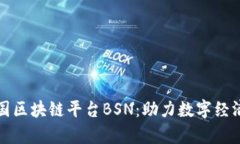 深入解析中国区块链平台BSN：助力数字