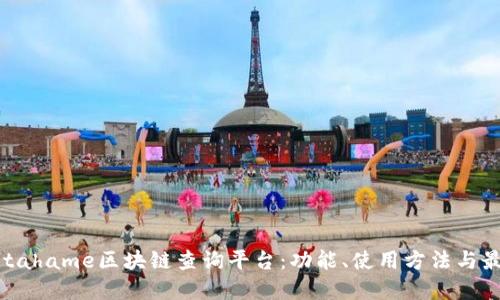 探索Getahame区块链查询平台：功能、使用方法与最佳实践