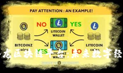 深入解析腾龙区块链平台：未来数字经济的引领者