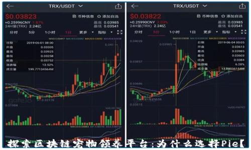 
探索区块链宠物领养平台：为什么选择Pie？