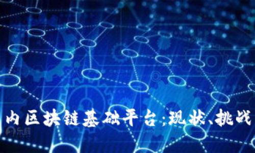 深入探讨国内区块链基础平台：现状、挑战与未来机遇