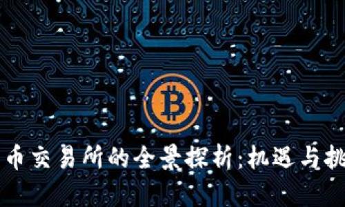 区块链平台货币交易所的全景探析:机遇与挑战并存的未来