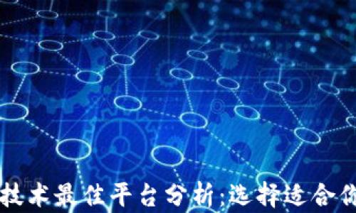 
区块链分片技术最佳平台分析：选择适合你的解决方案