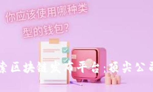 深入探索区块链发布平台：顶尖公司全解析