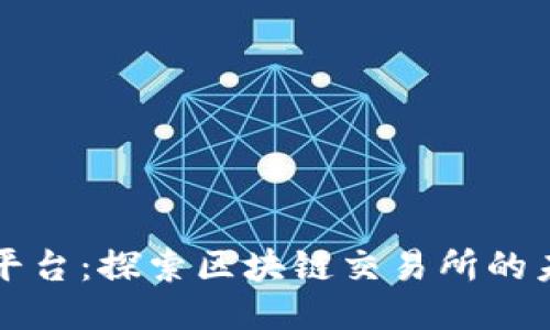 文成交易平台：探索区块链交易所的未来与挑战