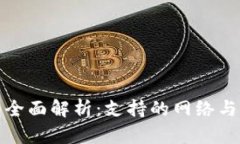 : TP钱包全面解析：支持的网络与功能详解
