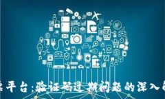   区块链电子发票平台：验证码过期问题的深入解