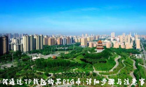 
如何通过TP钱包购买PIG币：详细步骤与注意事项