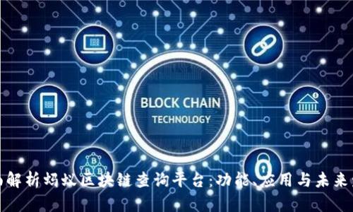 全面解析蚂蚁区块链查询平台：功能、应用与未来发展