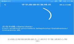 TP钱包最新公告：全面解析未来发展，