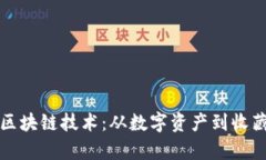 探索数藏平台的区块链技术：从数字资