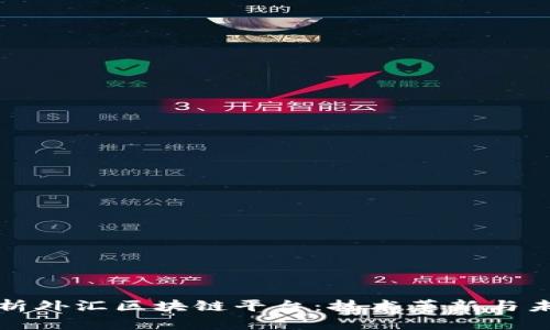 深度解析外汇区块链平台:技术革新与未来趋势