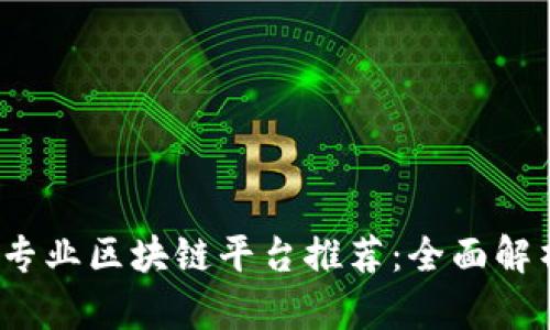 2023年最佳专业区块链平台推荐:全面解析与用户指南