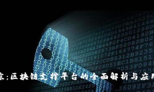 `南京:区块链支撑平台的全面解析与应用前景