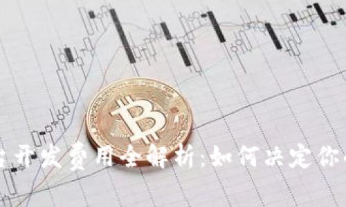 区块链平台开发费用全解析:如何决定你的项目预算