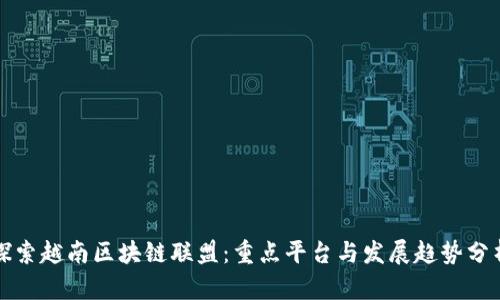 探索越南区块链联盟:重点平台与发展趋势分析