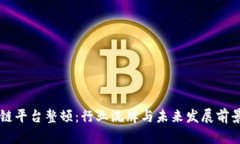 区块链平台整顿：行业洗牌与未来发展