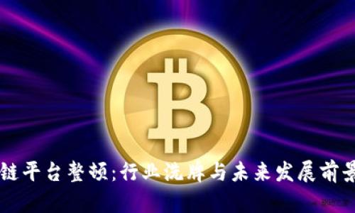 区块链平台整顿:行业洗牌与未来发展前景分析