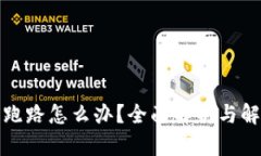 TP钱包跑路怎么办？全面解析与解决方