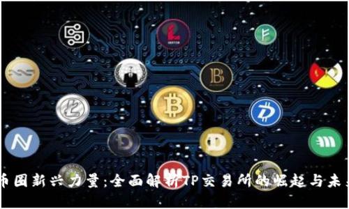 币圈新兴力量:全面解析TP交易所的崛起与未来