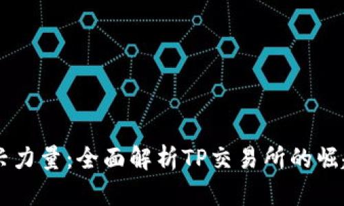 币圈新兴力量:全面解析TP交易所的崛起与未来