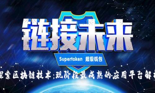 探索区块链技术:现阶段最成熟的应用平台解析