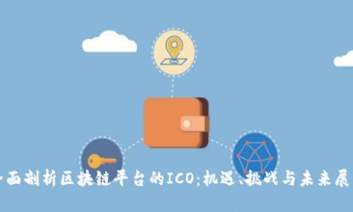 全面剖析区块链平台的ICO:机遇、挑战与未来展望