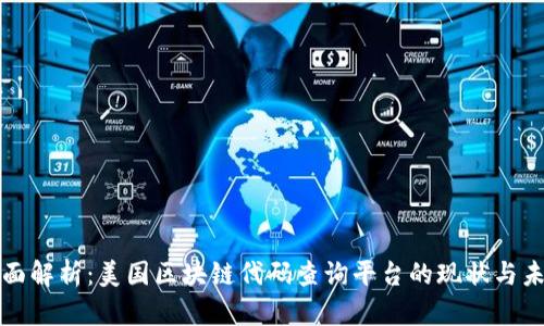 全面解析：美国区块链代码查询平台的现状与未来