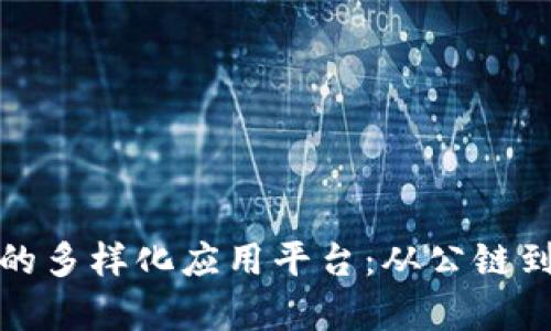 探索区块链技术的多样化应用平台:从公链到私链的全面解析