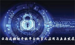 云南区块链开放平台的多元应用与未来
