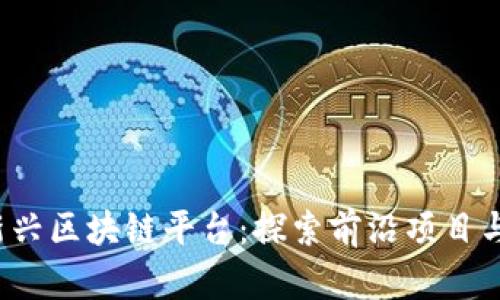 2023年新兴区块链平台:探索前沿项目与技术创新