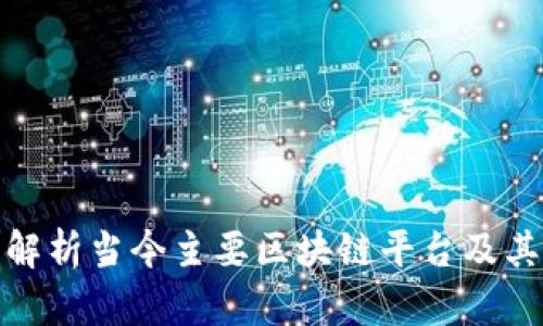 全面解析当今主要区块链平台及其特性