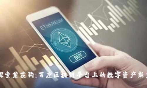 探索莱茨狗:百度区块链平台上的数字资产新秀