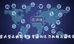 解密大型区块链平台背后的运作机制与