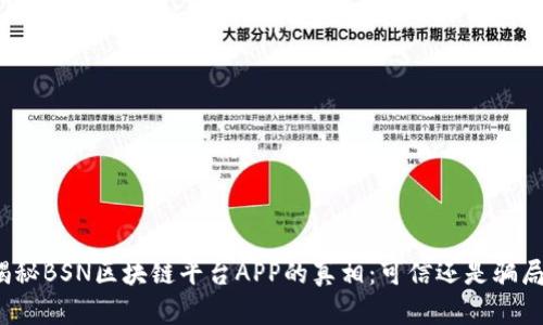 揭秘BSN区块链平台APP的真相：可信还是骗局？