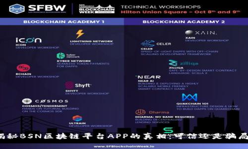 揭秘BSN区块链平台APP的真相：可信还是骗局？
