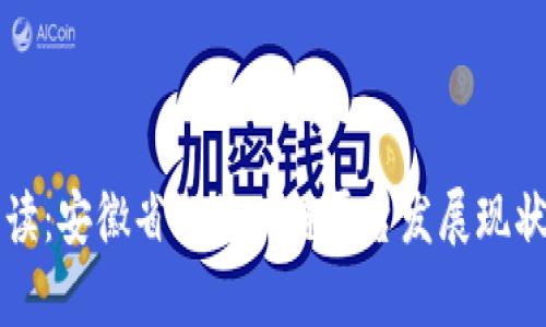 深入解读：安徽省的区块链平台发展现状与前景