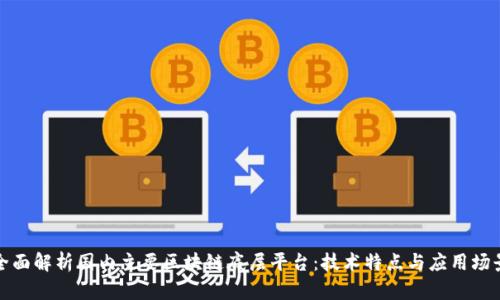 全面解析国内主要区块链底层平台：技术特点与应用场景