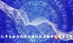 探索网红平台如何利用区块链技术提升